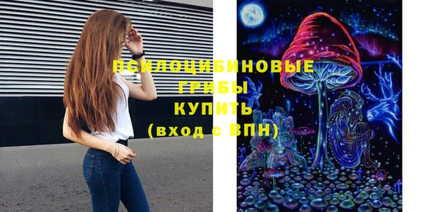 Альфа ПВП Вяземский