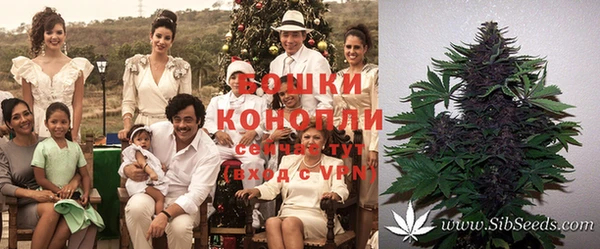 каннабис Вязники
