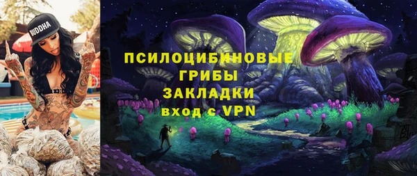Альфа ПВП Вяземский