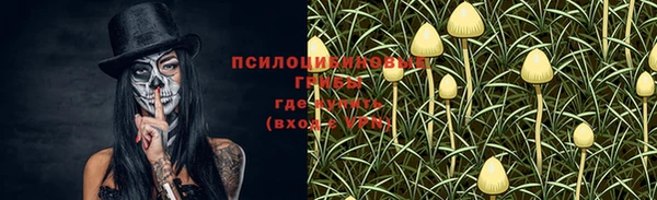 Альфа ПВП Вяземский