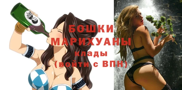 Альфа ПВП Вяземский