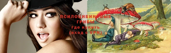Альфа ПВП Вяземский