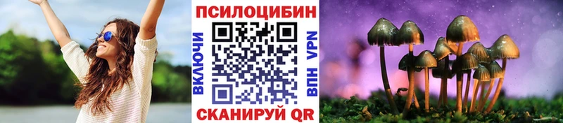 darknet клад  Калининград  Галлюциногенные грибы MAGIC MUSHROOMS 