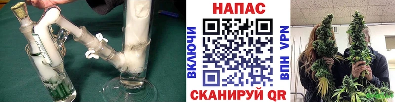 где продают наркотики  OMG ссылка  Бошки марихуана планчик  Калининград 